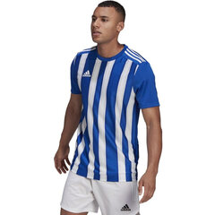 Мужская футболка Adidas Полосатая 21 JSY M GH7321, синяя цена и информация | Футболка мужская | pigu.lt