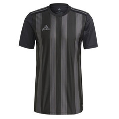 Marškinėliai vyrams Adidas Striped 21 JSY M GN7625, juodi kaina ir informacija | Vyriški marškinėliai | pigu.lt