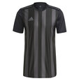 Marškinėliai vyrams Adidas Striped 21 JSY M GN7625, juodi