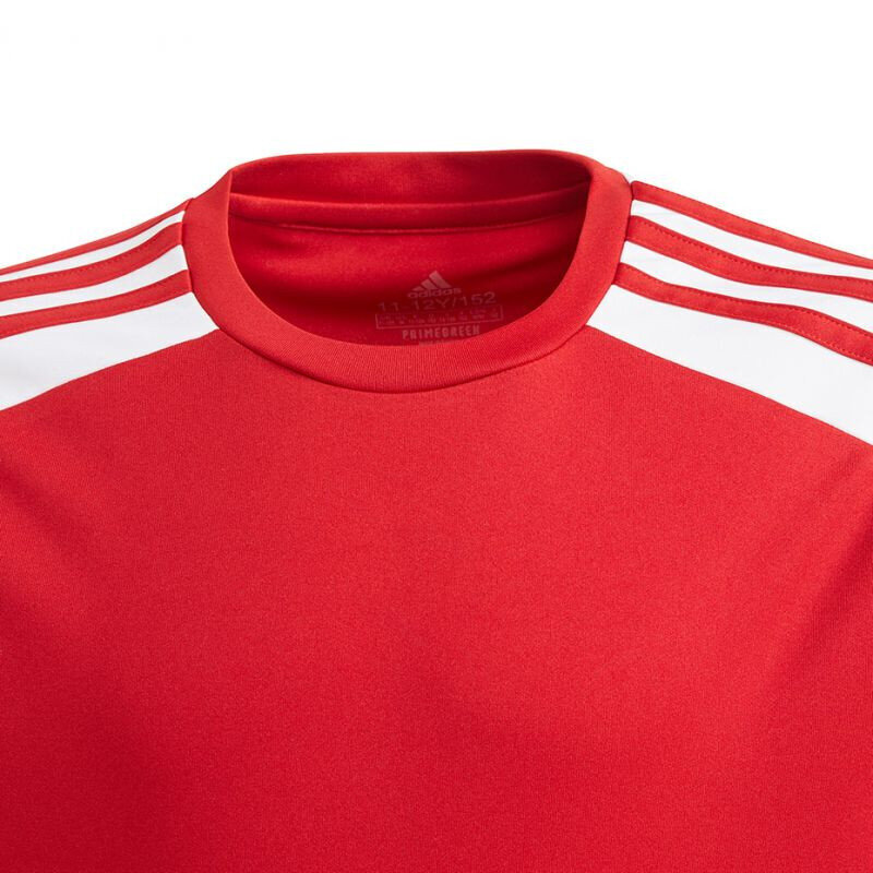 Marškinėliai berniukams Adidas Squadra 21 Jersey Youth Jr GN5746 kaina ir informacija | Marškinėliai berniukams | pigu.lt