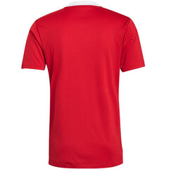 Футболка мужская Adidas Tiro 21 Training Jersey M GM7588, красная цена и информация | Мужские футболки | pigu.lt