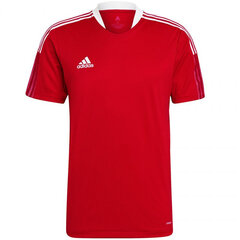 Футболка мужская Adidas Tiro 21 Training Jersey M GM7588, красная цена и информация | Мужские футболки | pigu.lt