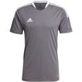 Marškinėliai vyrams Adidas Tiro 21 Training Jersey M GM7587, pilki