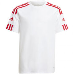 Мужская для мальчиков Adidas Squadra 21 Jersey Youth Jr GN5741 цена и информация | Рубашки для мальчиков | pigu.lt