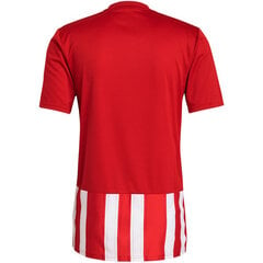 Футболка Adidas Striped 21 Jersey M GN7624, красный цвет цена и информация | Футбольная форма и другие товары | pigu.lt