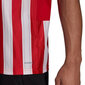 Futbolo marškinėliai Adidas Striped 21 Jersey M GN7624, raudoni kaina ir informacija | Futbolo apranga ir kitos prekės | pigu.lt