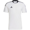 Marškinėliai vyrams Adidas Tiro 21 Training Jersey M GM7590, balti