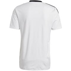 Мужская футболка Adidas Tiro 21 Training Jersey M GM7590, белая цена и информация | Мужские футболки | pigu.lt