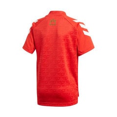 Футболка детская Adidas Salah Football Inspired Jr GM9003, красная цена и информация | Рубашки для мальчиков | pigu.lt