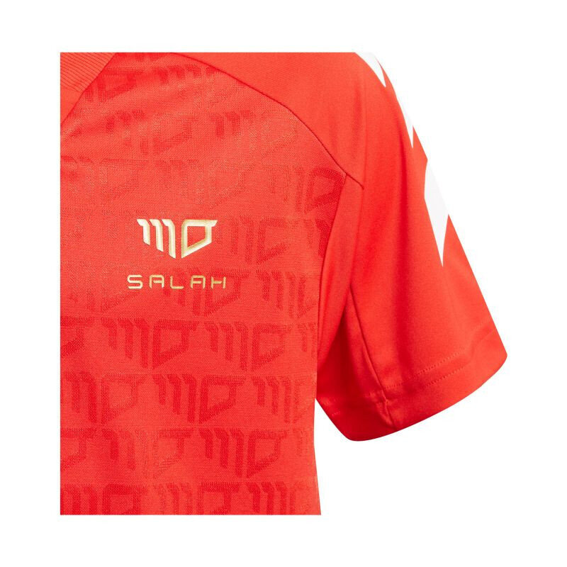 Marškinėliai vaikams Adidas Salah Football Inspired Jr GM9003, raudoni kaina ir informacija | Marškinėliai berniukams | pigu.lt