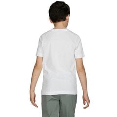 Nike marškinėliai vyrams, balti kaina ir informacija | Vyriški marškinėliai | pigu.lt