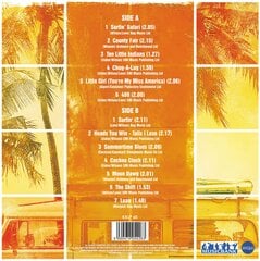 виниловая пластинка Beach Boys цена и информация | Виниловые пластинки, CD, DVD | pigu.lt