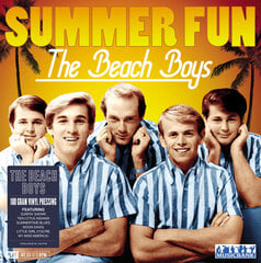 Vinilinė plokštelė Beach Boys kaina ir informacija | Vinilinės plokštelės, CD, DVD | pigu.lt