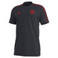 Futbolo marškinėliai vyrams Adidas FC Bayern GR0658 kaina ir informacija | Futbolo apranga ir kitos prekės | pigu.lt