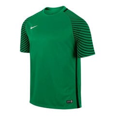 Marškinėliai vyrams Nike Gardien M 725889319, žali kaina ir informacija | Vyriški marškinėliai | pigu.lt