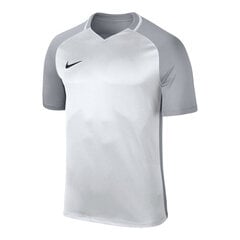 Футболка детская Nike Dry Trophy III Jr 881484100, серая цена и информация | Рубашки для мальчиков | pigu.lt