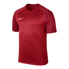 Мужская футболка Nike цена и информация | Рубашки для мальчиков | pigu.lt