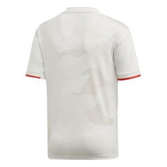 Футболка мужская Adidas Juventus Turin Away Jr DW5457 цена и информация | Рубашки для мальчиков | pigu.lt