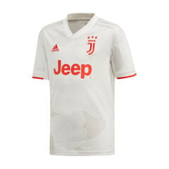 Футболка мужская Adidas Juventus Turin Away Jr DW5457 цена и информация | Рубашка для мальчиков | pigu.lt