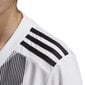 Marškinėliai vaikams Adidas Striped 19 Jr DU4398, balti цена и информация | Marškinėliai berniukams | pigu.lt