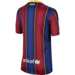 Футболка детская Nike FC Barcelona 2020/21 Stadium Home Jr CD4500456, синяя цена и информация | Рубашки для мальчиков | pigu.lt