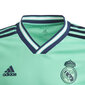 Marškinėliai vaikams Adidas Real Madrid 3rd Jr DX8917, žali kaina ir informacija | Marškinėliai berniukams | pigu.lt