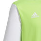 Marškinėliai vaikams Adidas Estro 19 Jr GH1663, žali kaina ir informacija | Marškinėliai berniukams | pigu.lt