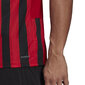 Marškinėliai vyrams Adidas Striped 21 M GV1381 цена и информация | Vyriški marškinėliai | pigu.lt