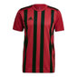 Marškinėliai vyrams Adidas Striped 21 M GV1381 цена и информация | Vyriški marškinėliai | pigu.lt