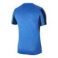 Marškinėliai vyrams Nike Striped Division IV M CW3813463, mėlyni kaina ir informacija | Vyriški marškinėliai | pigu.lt
