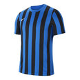 Marškinėliai vyrams Nike Striped Division IV M CW3813463, mėlyni