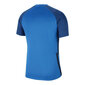 Marškinėliai vyrams Nike CW3557, mėlyni kaina ir informacija | Vyriški marškinėliai | pigu.lt