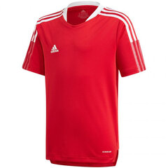 Футболка для мальчиков Adidas Tiro 21 Training Jers Jr GM7576 цена и информация | Рубашки для мальчиков | pigu.lt