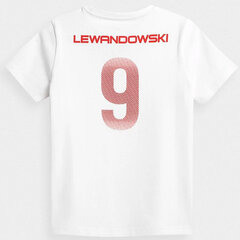 Футболка детская Fan shirt RL9 4F цена и информация | Рубашка для мальчиков | pigu.lt