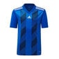 Marškinėliai vaikams Adidas Striped 19 Jr DU4396, mėlyni цена и информация | Marškinėliai berniukams | pigu.lt
