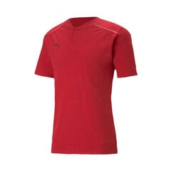 Marškinėliai vyrams Puma Team Cup Casuals M 65674201, raudoni цена и информация | Мужские футболки | pigu.lt