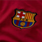 Marškinėliai vyrams Nike FC Barcelona Strike Soccer Drill Top M CW1736 621, raudoni цена и информация | Vyriški marškinėliai | pigu.lt