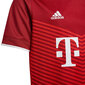 Marškinėliai vaikams Adidas Bayern Munich Home Jr GR0490, raudoni kaina ir informacija | Marškinėliai berniukams | pigu.lt