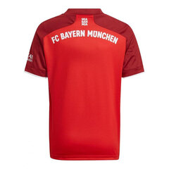 Футболка детская Adidas Bayern Munich Home Jr GR0490, красная цена и информация | Рубашки для мальчиков | pigu.lt