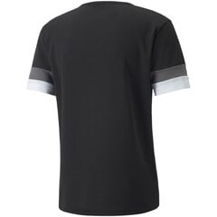 Футболка мужская Puma Team Rise Jersey M 704932 03, цвет черный цена и информация | Футболка мужская | pigu.lt