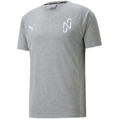 Футболка мужская Puma Neymar Evostripe Tee Medium M 605604 05, серая цена и информация | Мужские футболки | pigu.lt