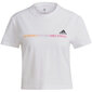 Marškinėliai moterims Adidas Gradient Logo Cropped T Shirt W GM5577, balti kaina ir informacija | Marškinėliai moterims | pigu.lt