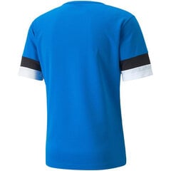 Футболка спортивная мужская Puma teamRise Jersey M 704932 02, синяя цена и информация | Мужские футболки | pigu.lt