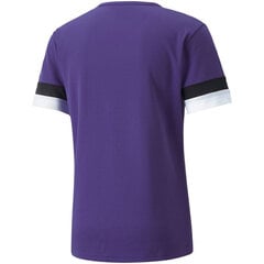 Sportiniai marškinėliai vyrams Puma teamRise Jersey M 704932 10, violetiniai kaina ir informacija | Vyriški marškinėliai | pigu.lt