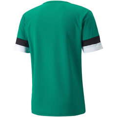 Футболка мужская Puma teamRise Jersey M 704932 05, зеленая цена и информация | Футболка мужская | pigu.lt