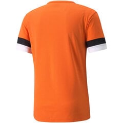 Мужская спортивная футболка Puma teamRise Jersey M 704932 08, оранжевая цена и информация | Футболка мужская | pigu.lt
