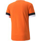 Sportiniai marškinėliai vyrams Puma teamRise Jersey M 704932 08, oranžiniai цена и информация | Vyriški marškinėliai | pigu.lt