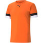 Sportiniai marškinėliai vyrams Puma teamRise Jersey M 704932 08, oranžiniai kaina ir informacija | Vyriški marškinėliai | pigu.lt