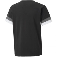 Футболка детская Puma TeamRise Jersey Jr 704938 03, черная цена и информация | Рубашка для мальчиков | pigu.lt