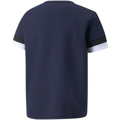 Marškinėliai vaikams Puma TeamRise Jersey Jr 704938 06, mėlyni kaina ir informacija | Marškinėliai berniukams | pigu.lt